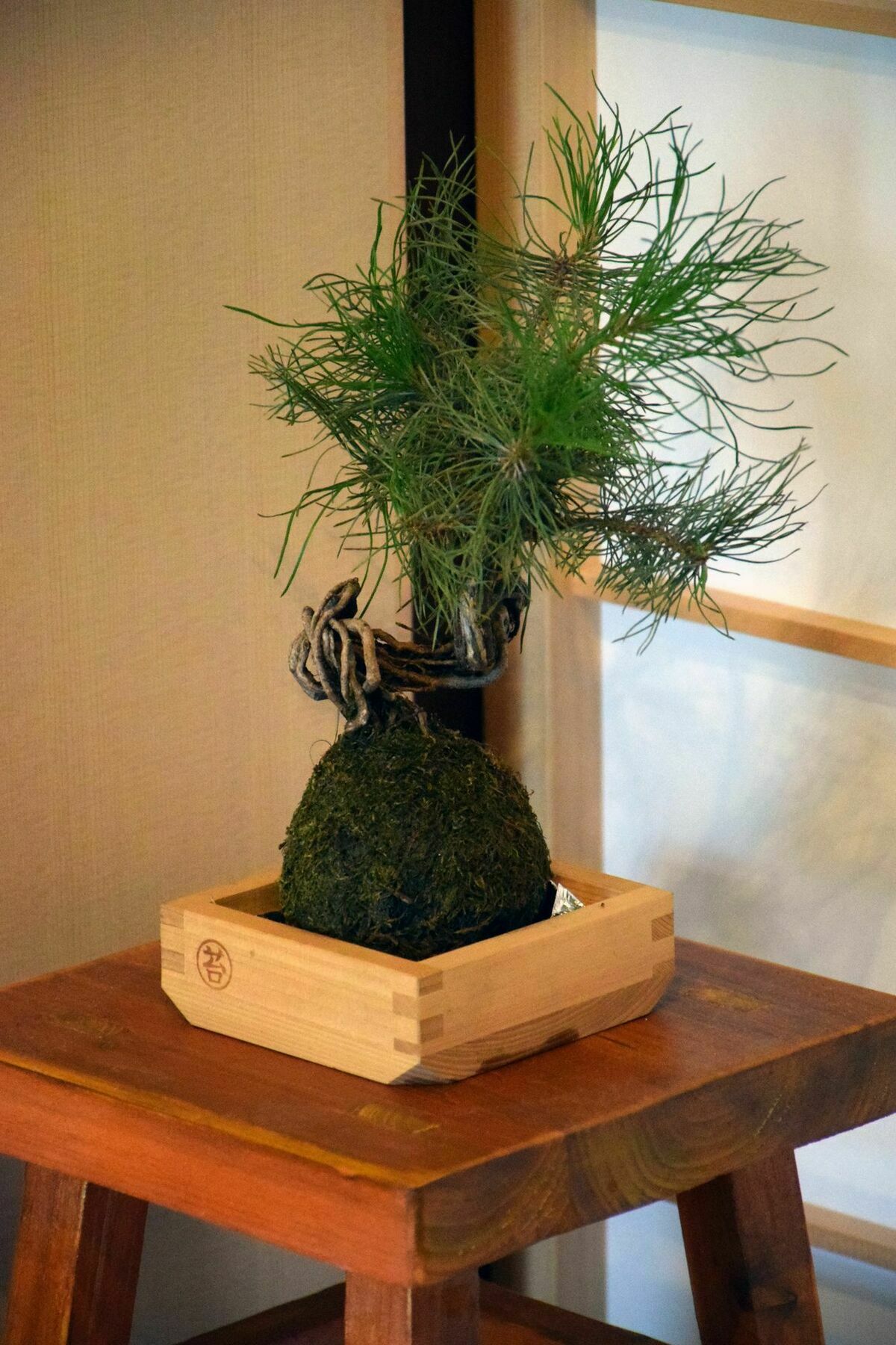 Guesthouse Hanamiya Kyoto Exterior foto